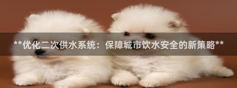 qy球友会体育官下载
