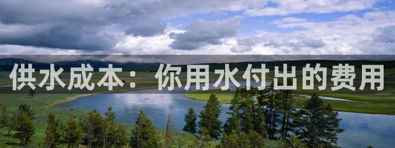 QY球友会体育官方平台