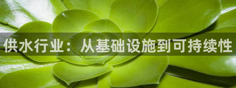 球友会app官网下载安卓