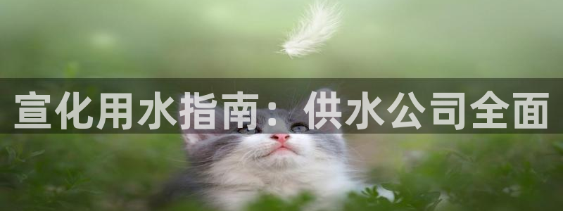 球友会买球打牌绑卡有风险吗?