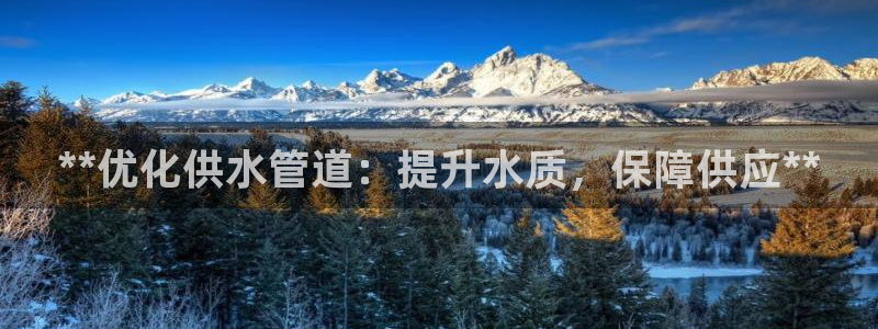 球友会联赛
