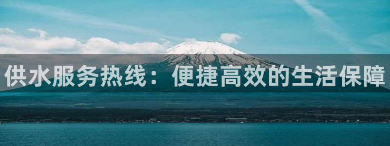 球友会体育app下载安卓手机