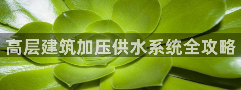 球友会app干啥的啊