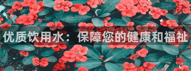 球友会致辞