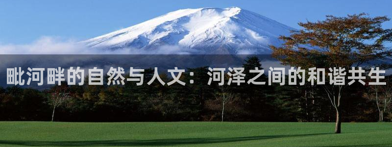 球友会提现