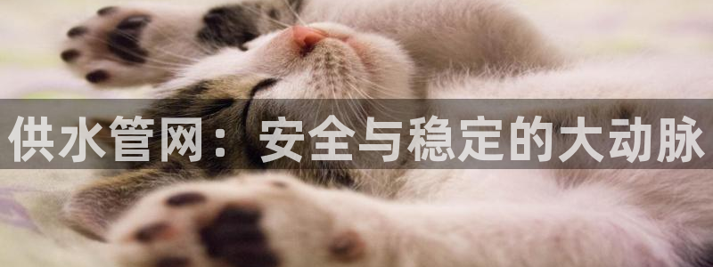球友会体育app下载安卓最新版