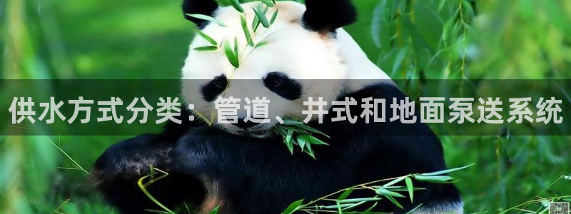 球友会体育app官方版下载安装手机