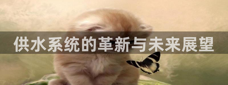球友会破解码