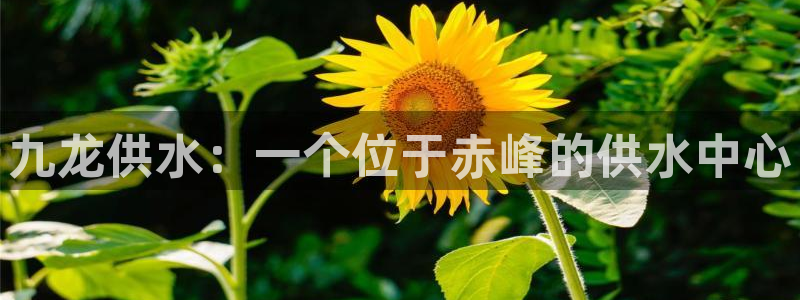 关键词