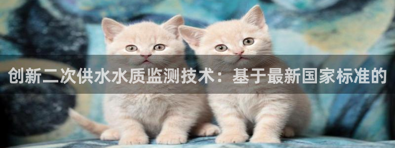 关键词