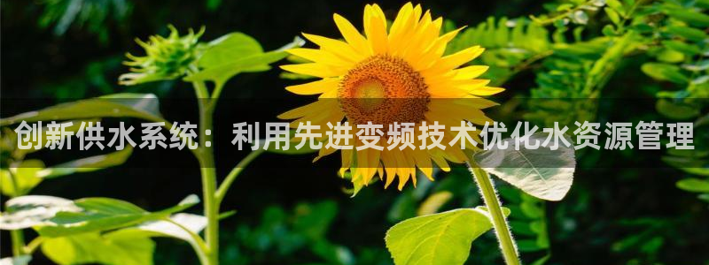 球友会体育app官方版下载安装