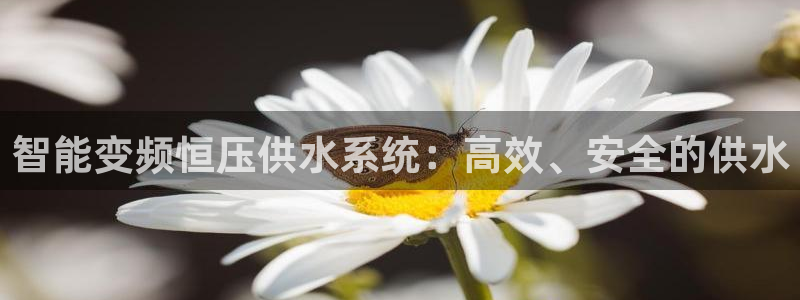 球友会App