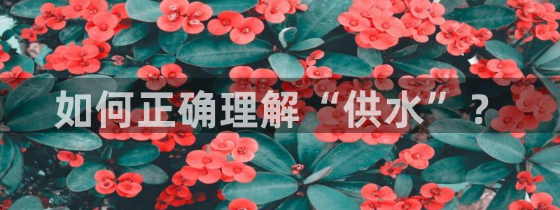 球友会台球俱乐部在哪