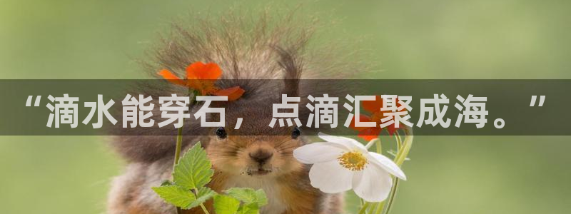 球友会为什么能上百度官方