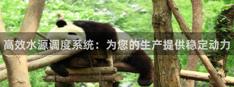 球友会友谊赛赛程赛果