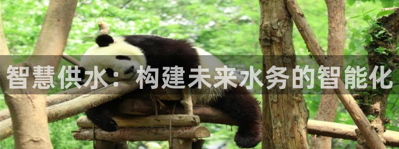 球友会在线登录