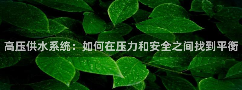 球友会qy怎么进不去