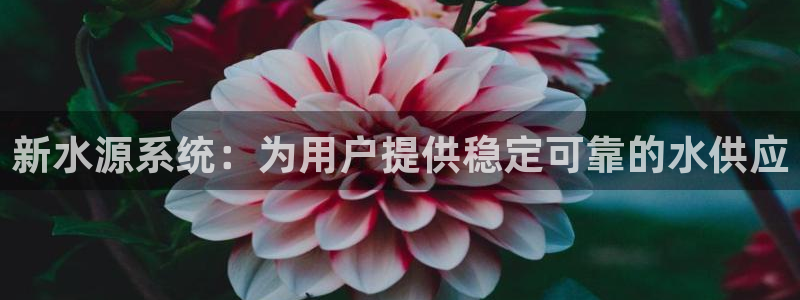球友会·(QY)官方网站