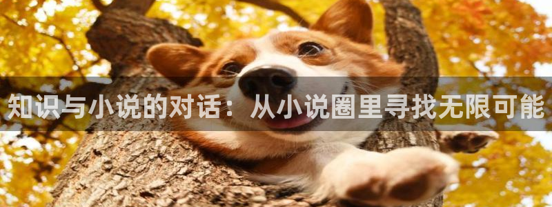 免费小说同人