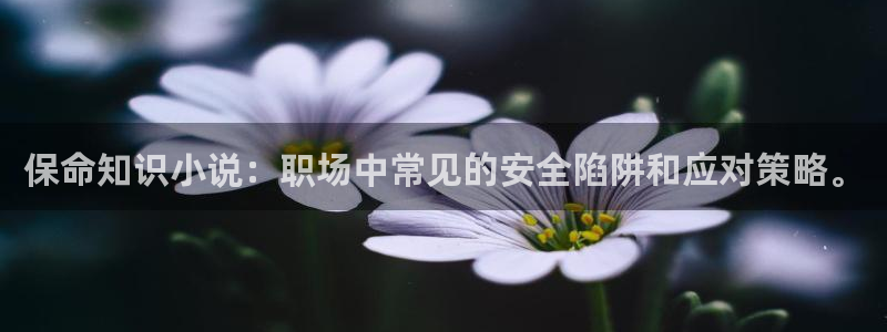 九猫免费小说